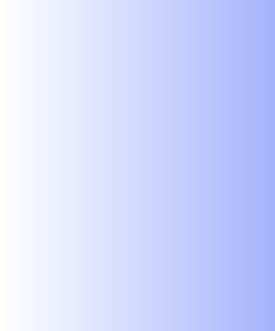 wp19196729.png
